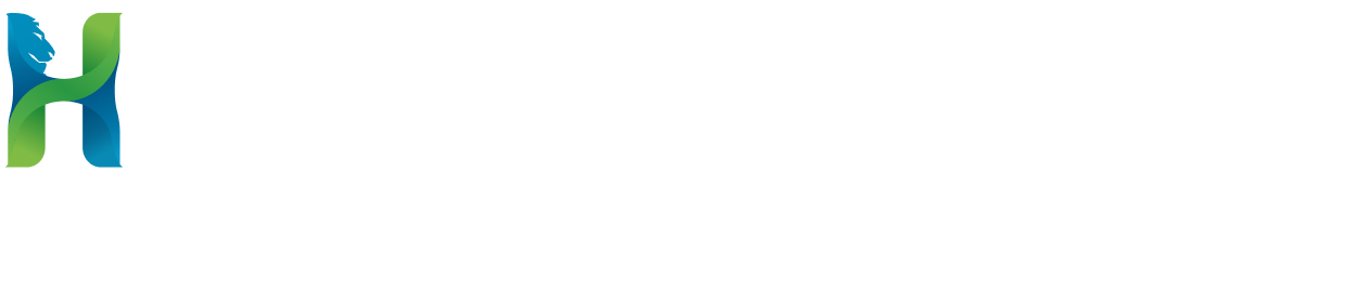 Hylan Power One